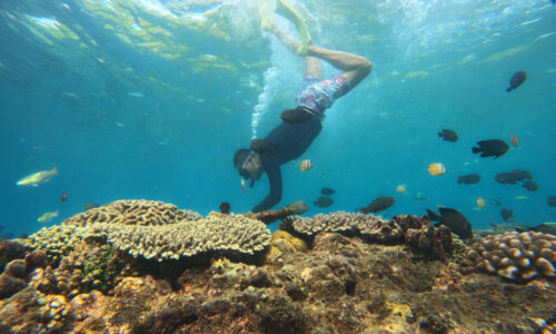 Bali Snorkeling Tours: Explore Underwater Paradise